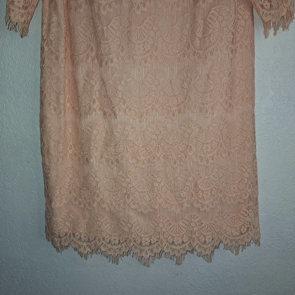 Jessica Howard Size 14W Knee Length Lace Women Peach Dress - Picture 5 of 11